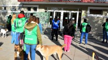 Imagen de Bono en Salud: sólo algunos lo cobraron en Río Negro