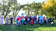 Imagen de Piden la reapertura de los jardines maternales en Viedma