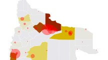 Imagen de Mapa del coronavirus: 31 nuevos casos en Neuquén y Río Negro