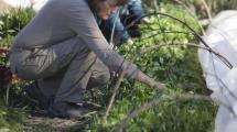 Imagen de Con una ley de agricultura esperan crear 10.000 puestos de trabajo en Neuquén