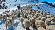 Imagen de Neuquén gestiona fondos para asistir a productores afectados por la nieve