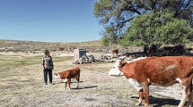 Imagen de Feroz disputa por un campo rompió la paz en Chacay Huarruca