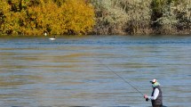 Imagen de Hasta el 1 de noviembre rige la veda de pesca en el río Negro