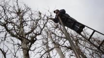 Imagen de «Nación tiene una gran deuda con los trabajadores rurales», aseguran desde Uatre