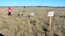 Imagen de Río Negro: Legislador pide quitar aportes estatales a “partícipes” de tomas