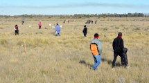 Imagen de Ordenan el desalojo de tres personas por usurpar un terreno privado en Viedma