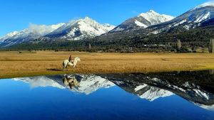 Don Ramón, el gaucho de 91 años que sale a trabajar al campo en la Patagonia y le enseña a sus nietos