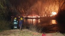 Imagen de Bomberos de Centenario lograron controlar un gran incendio en el paseo costero