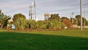 Continúan las mejoras en los espacios verdes de Viedma