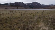 Imagen de La laguna cerca de Bariloche que se quedó sin los juncos que le dan su nombre