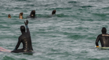 Imagen de Lobos marinos, surfers y perros: encuentro cumbre en Las Grutas