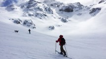 Imagen de Baguales y el discreto encanto de esquiar sin ser visto