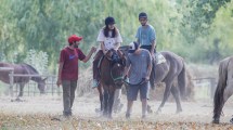 Imagen de Una asociación de equinoterapia de Roca sufrió un gran robo y lanzó un bono solidario para recuperarse