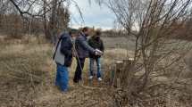 Imagen de Mas de 60 árboles talados en la ribera de los ríos Limay y Neuquén