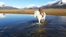 Imagen de Benja, el gaucho de 7 años que cabalga la Patagonia: la historia detrás del video viral