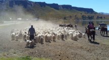 Imagen de Neuquén adhirió a la ley nacional de Agricultura Familiar