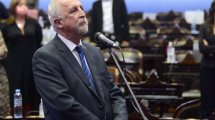 Imagen de Diputados impuso a Carnaghi en reemplazo de Darío Martínez por ley de paridad