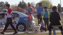 Imagen de Controles en Neuquén: 25 autos secuestrados, un detenido y 11 demorados