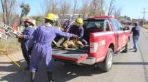 Imagen de Una perra estaba por morir de frío, pero la rescataron los bomberos de Centenario