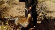 Imagen de Por qué la caza furtiva no beneficia a los ganaderos: la campaña para cuidar más a guanacos y nidos de choiques y ñandúes