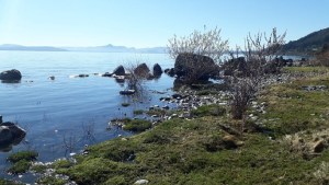 Una mancha en el lago Nahuel Huapi generó alarma