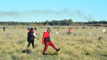 Imagen de Imputan a tres hombres por la usurpación de un terreno privado en Viedma