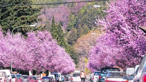 Turismo: 2.000 familias tienen segunda residencia en la cordillera de Neuquén