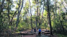 Imagen de El desafío de la Patagonia: producir más y minimizar el impacto ambiental