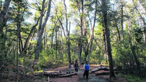 El desafío de la Patagonia: producir más y minimizar el impacto ambiental