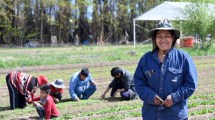 Imagen de De la agricultura familiar salen la mayoría de los alimentos que comemos