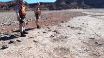 Imagen de Villa El Chocón: navegaban el embalse y se encontraron con huellas de dinosaurios