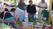 Imagen de Promoverán el cultivo de huertas familiares y comunitarias en Regina