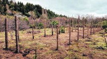 Imagen de Comunidad mapuche de Bariloche reclama al Ejército la devolución de sus cosas