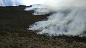 El fuego arrasó varias hectáreas de pastizales al sur de Maquinchao