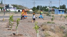 Imagen de Gaido suma verde en Parque Regional Bardas Norte