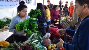 Trabajan en un protocolo para el regreso de la Feria Municipal en Viedma