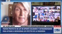 Imagen de Alma Sapag: El aporte a las grandes fortunas «va a traer más costos políticos y sociales»