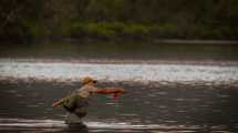 Imagen de La pesca en Neuquén quedó liberada de restricciones