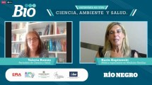 Imagen de VIDEO: todas las respuestas frente a tantos tratamientos para el coronavirus