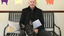 Imagen de Major, el perro rescatado de Joe Biden que vivirá en la Casa Blanca