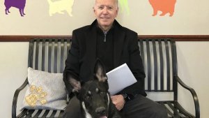 Major, el perro rescatado de Joe Biden que vivirá en la Casa Blanca