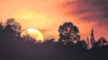 Imagen de Cuatro ciudades neuquinas preparadas para ver el eclipse total de Sol