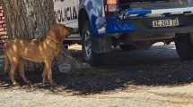 Imagen de El policía apareció a 400 kilómetros de Cutral Co, cerca de Junín de los Andes