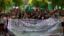 Imagen de Así votaron los diputados de la región el aborto legal