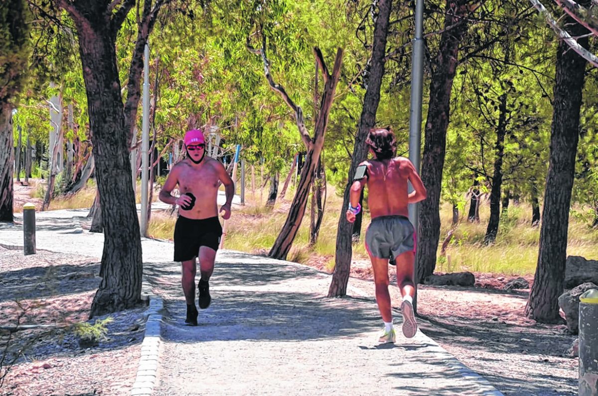 El Parque Norte es el más elegido por los runners. (foto archivo)