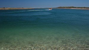 Punta Perdices, el caribe de la Patagonia, una escapada perfecta desde Las Grutas