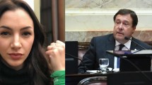 Imagen de Aborto legal: Thelma Fardín apuntó contra el senador Weretilneck