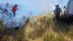 Recuerdan medidas para evitar incendios de campos en Río Negro