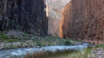 Imagen de Recorré el asombroso Cañadón del Covunco con las fotos del guardafauna