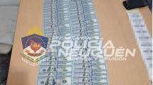 Imagen de Vendían licencias de conducir «truchas» en Neuquén, por más de $10.000